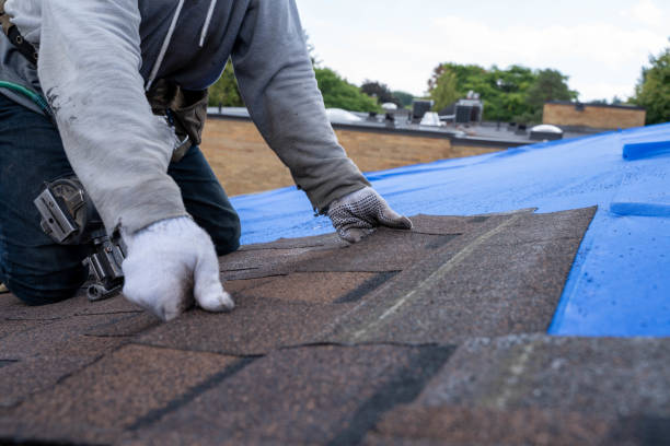 Steel Roofing in Lake Bluff, IL